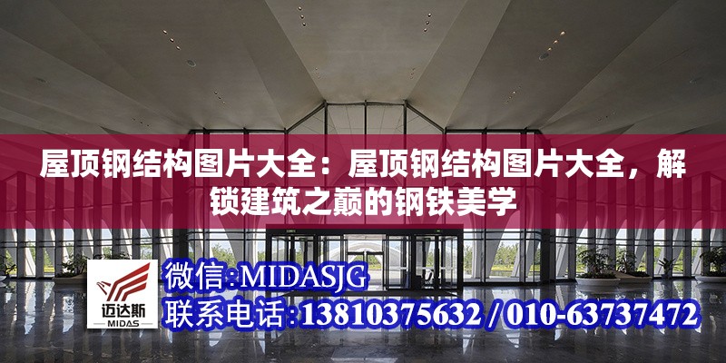 屋頂鋼結(jié)構(gòu)圖片大全：屋頂鋼結(jié)構(gòu)圖片大全，解鎖建筑之巔的鋼鐵美學(xué)