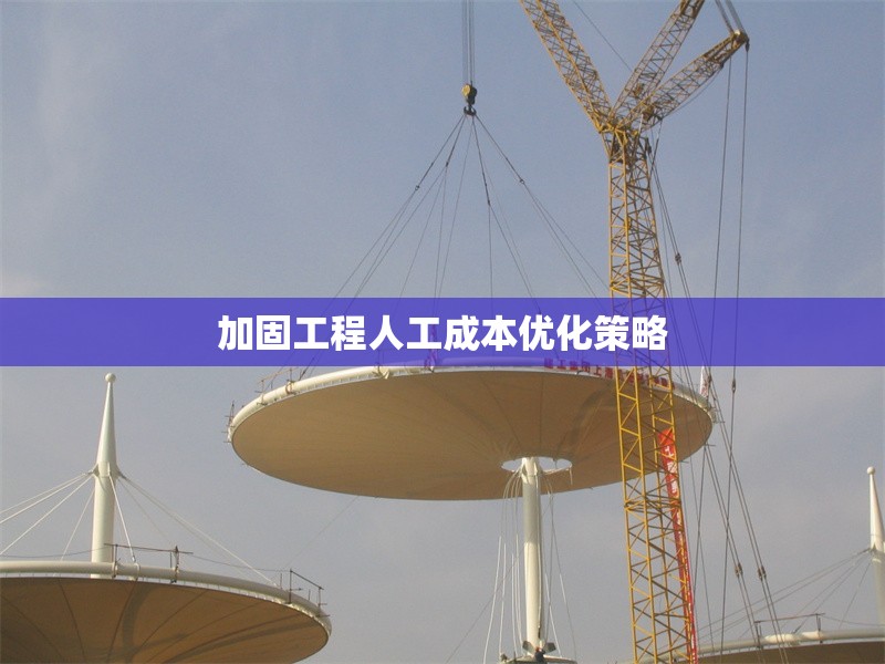 加固工程人工成本優(yōu)化策略 行業(yè)新聞 第1張 加固工程人工成本優(yōu)化策略 行業(yè)新聞 第1張