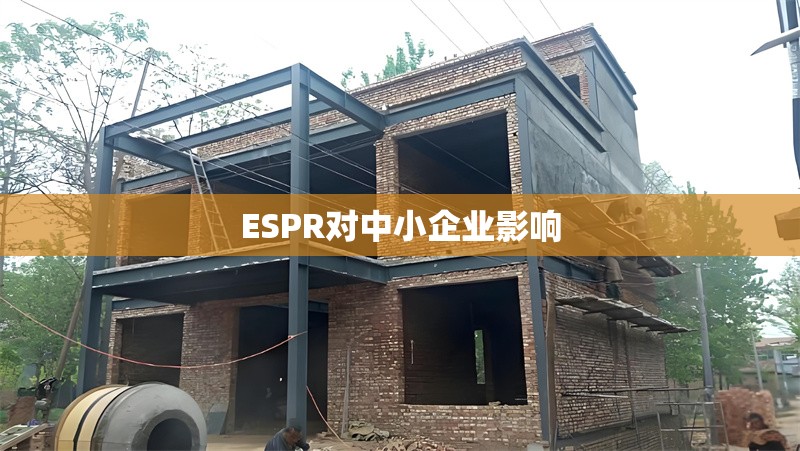 ESPR對中小企業(yè)影響