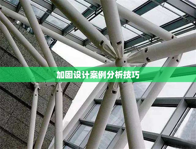 加固設(shè)計案例分析技巧