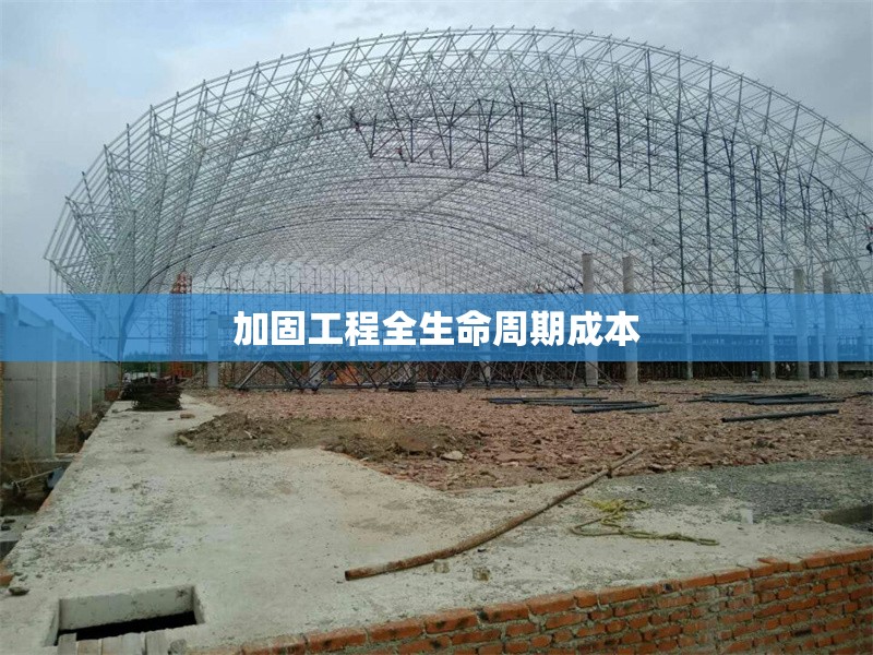 加固工程全生命周期成本