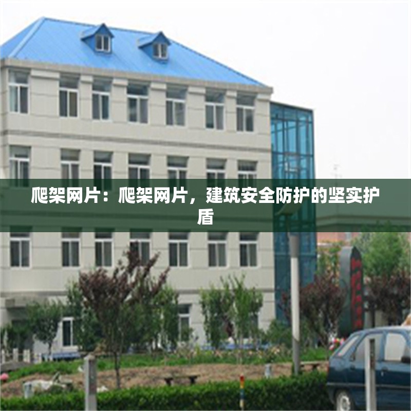 爬架網(wǎng)片：爬架網(wǎng)片，建筑安全防護(hù)的堅(jiān)實(shí)護(hù)盾 行業(yè)新聞