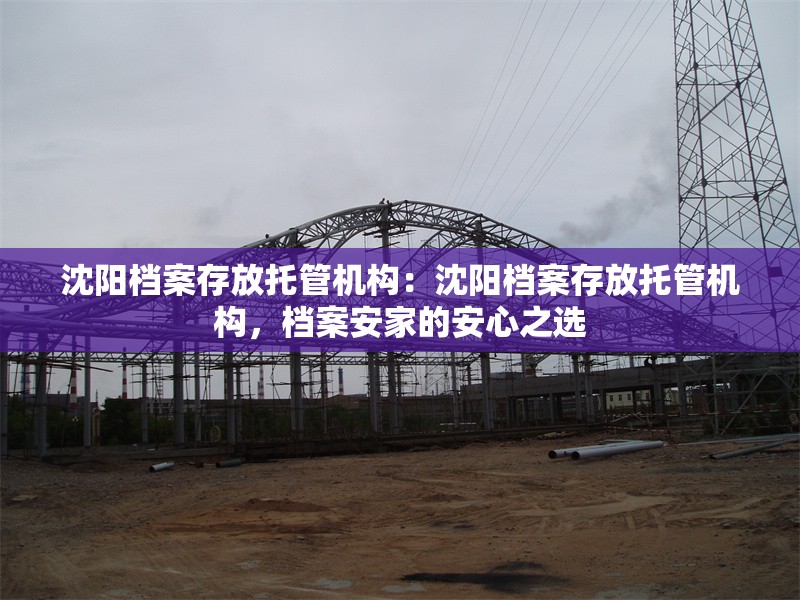 沈陽檔案存放托管機構(gòu)：沈陽檔案存放托管機構(gòu)，檔案安家的安心之選 行業(yè)新聞