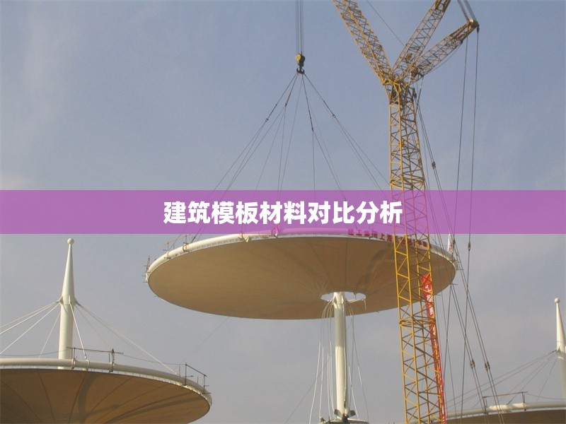 建筑模板材料對比分析