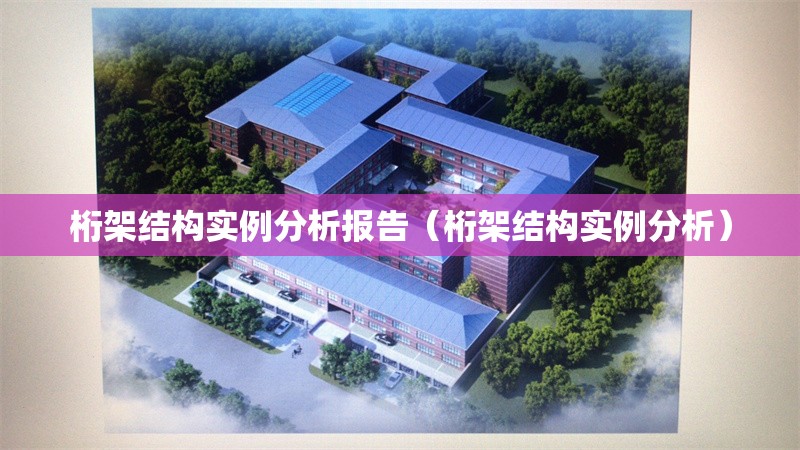 桁架結構實例分析報告（桁架結構實例分析）