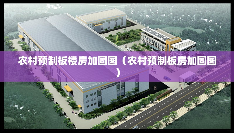 農(nóng)村預制板樓房加固圖（農(nóng)村預制板房加固圖）