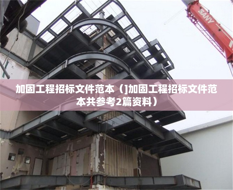 加固工程招標文件范本（]加固工程招標文件范本共參考2篇資料）