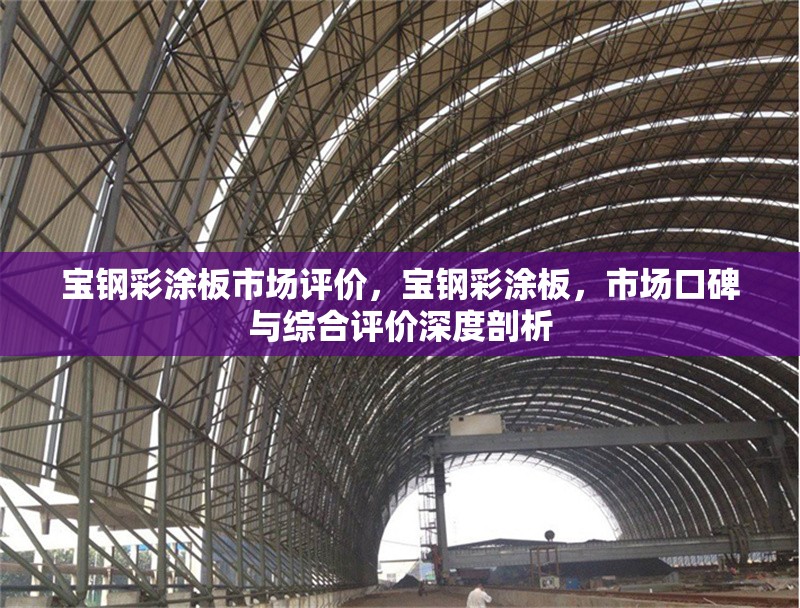 寶鋼彩涂板市場評價，寶鋼彩涂板，市場口碑與綜合評價深度剖析 行業(yè)新聞 第1張
