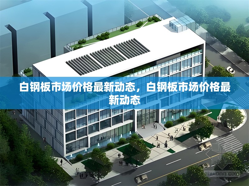 白鋼板市場價格最新動態(tài)，白鋼板市場價格最新動態(tài)
