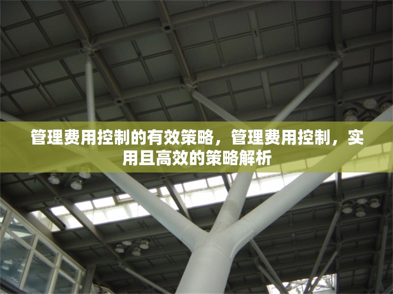 管理費用控制的有效策略，管理費用控制，實用且高效的策略解析