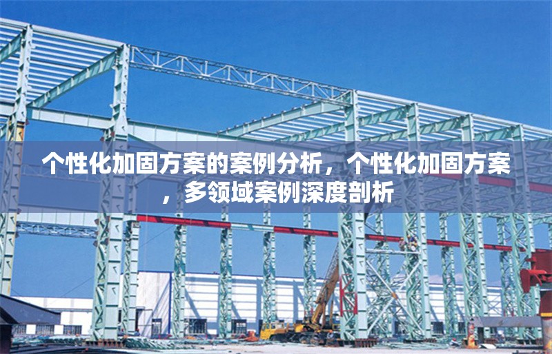 個性化加固方案的案例分析，個性化加固方案，多領(lǐng)域案例深度剖析