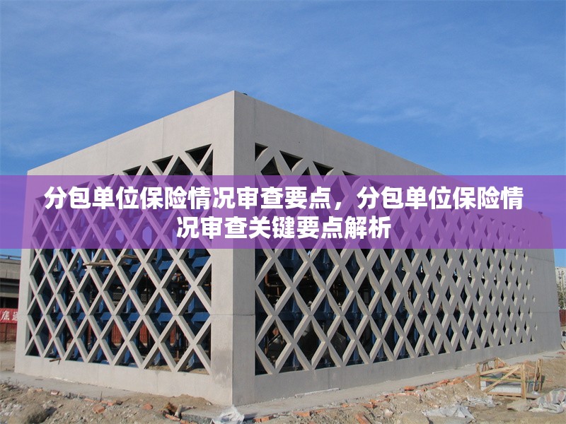 分包單位保險情況審查要點，分包單位保險情況審查關鍵要點解析 行業(yè)新聞