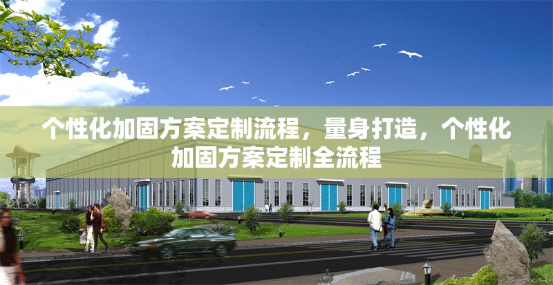 個(gè)性化加固方案定制流程，量身打造，個(gè)性化加固方案定制全流程 行業(yè)新聞 第1張