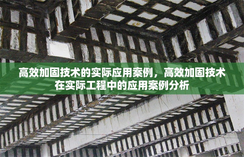 高效加固技術(shù)的實(shí)際應(yīng)用案例，高效加固技術(shù)在實(shí)際工程中的應(yīng)用案例分析 行業(yè)新聞 第1張