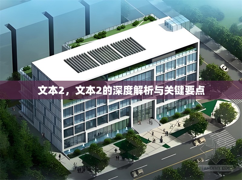 文本2，文本2的深度解析與關(guān)鍵要點