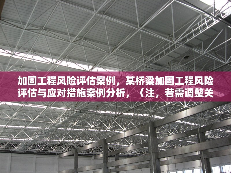 加固工程風險評估案例，某橋梁加固工程風險評估與應(yīng)對措施案例分析，（注，若需調(diào)整關(guān)鍵詞如項目類型/行業(yè)，可補充具體信息后優(yōu)化標題）