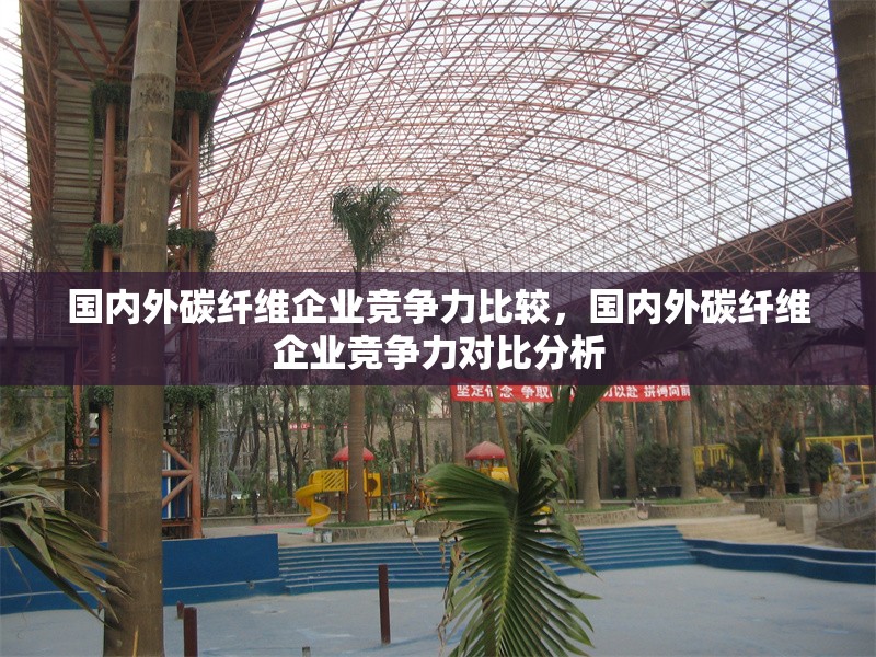 國(guó)內(nèi)外碳纖維企業(yè)競(jìng)爭(zhēng)力比較，國(guó)內(nèi)外碳纖維企業(yè)競(jìng)爭(zhēng)力對(duì)比分析