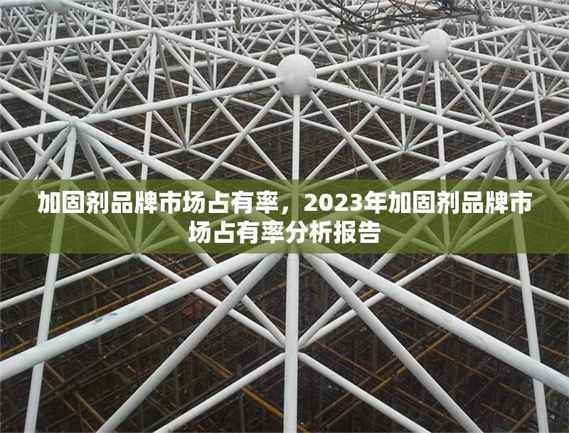 加固劑品牌市場(chǎng)占有率，2023年加固劑品牌市場(chǎng)占有率分析報(bào)告