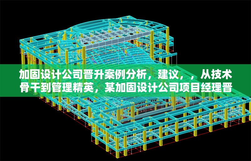 加固設(shè)計(jì)公司晉升案例分析，建議，，從技術(shù)骨干到管理精英，某加固設(shè)計(jì)公司項(xiàng)目經(jīng)理晉升路徑深度解析