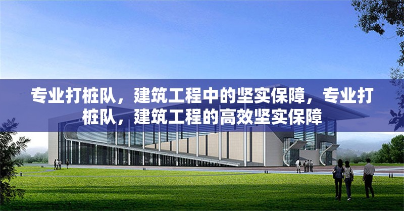 專業(yè)打樁隊(duì)，建筑工程中的堅(jiān)實(shí)保障，專業(yè)打樁隊(duì)，建筑工程的高效堅(jiān)實(shí)保障 行業(yè)新聞
