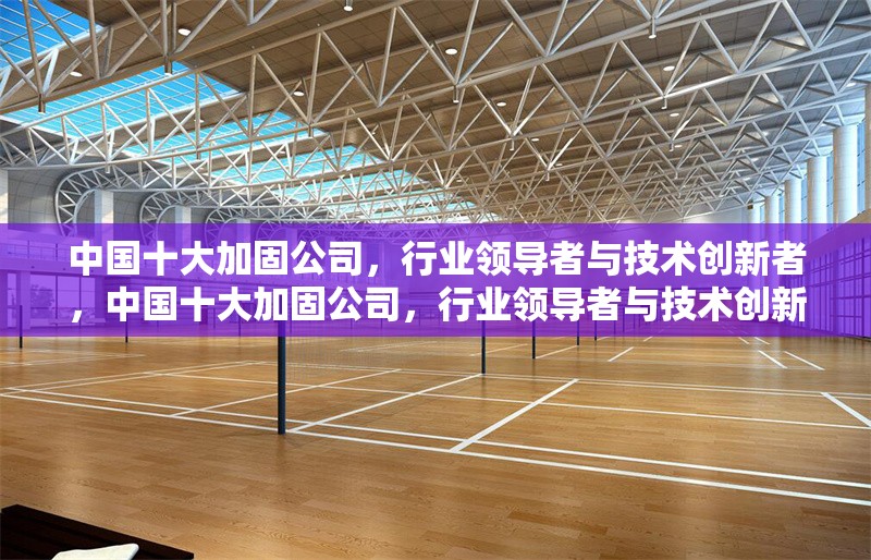 中國十大加固公司，行業(yè)領(lǐng)導(dǎo)者與技術(shù)創(chuàng)新者，中國十大加固公司，行業(yè)領(lǐng)導(dǎo)者與技術(shù)創(chuàng)新者盤點(diǎn)