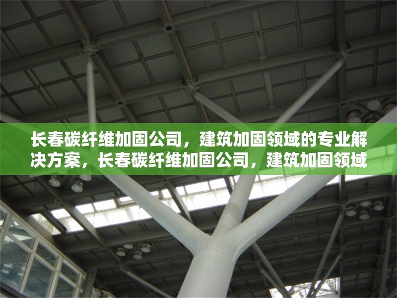 長春碳纖維加固公司，建筑加固領(lǐng)域的專業(yè)解決方案，長春碳纖維加固公司，建筑加固領(lǐng)域的專業(yè)解決方案專家
