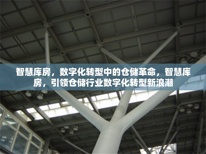 智慧庫房，數(shù)字化轉(zhuǎn)型中的倉儲革命，智慧庫房，引領(lǐng)倉儲行業(yè)數(shù)字化轉(zhuǎn)型新浪潮