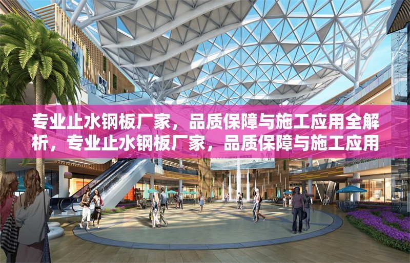 專業(yè)止水鋼板廠家，品質(zhì)保障與施工應(yīng)用全解析，專業(yè)止水鋼板廠家，品質(zhì)保障與施工應(yīng)用全解析