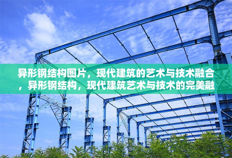 異形鋼結(jié)構(gòu)圖片，現(xiàn)代建筑的藝術(shù)與技術(shù)融合，異形鋼結(jié)構(gòu)，現(xiàn)代建筑藝術(shù)與技術(shù)的完美融合 行業(yè)新聞