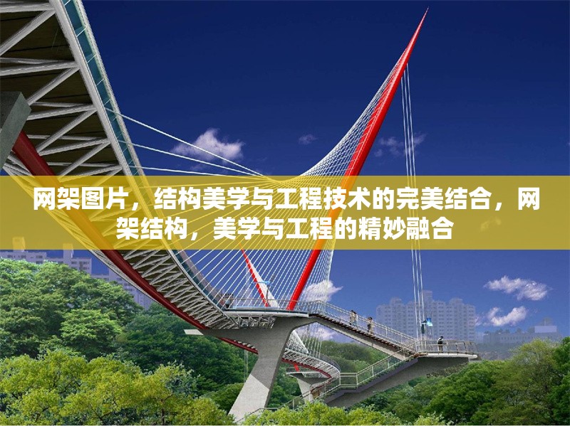 網(wǎng)架圖片，結(jié)構(gòu)美學(xué)與工程技術(shù)的完美結(jié)合，網(wǎng)架結(jié)構(gòu)，美學(xué)與工程的精妙融合