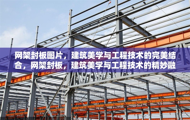 網(wǎng)架封板圖片，建筑美學(xué)與工程技術(shù)的完美結(jié)合，網(wǎng)架封板，建筑美學(xué)與工程技術(shù)的精妙融合，網(wǎng)架封板，建筑美學(xué)與工程技術(shù)的精妙融合