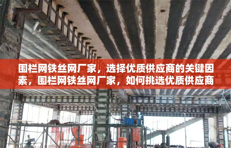 圍欄網(wǎng)鐵絲網(wǎng)廠家，選擇優(yōu)質(zhì)供應(yīng)商的關(guān)鍵因素，圍欄網(wǎng)鐵絲網(wǎng)廠家，如何挑選優(yōu)質(zhì)供應(yīng)商的關(guān)鍵要點(diǎn)