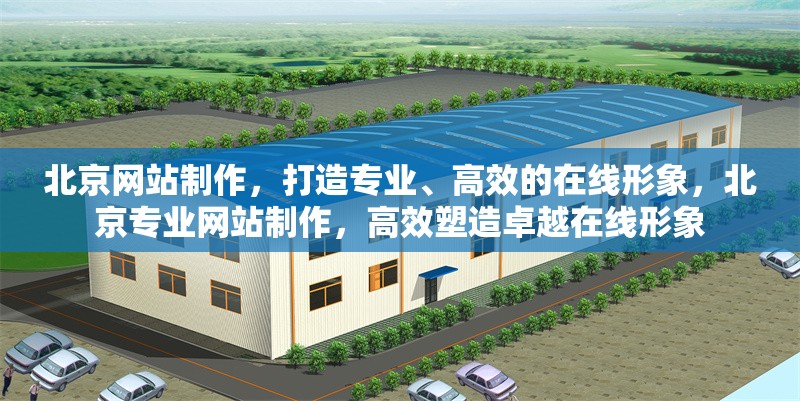 北京網(wǎng)站制作，打造專(zhuān)業(yè)、高效的在線形象，北京專(zhuān)業(yè)網(wǎng)站制作，高效塑造卓越在線形象 行業(yè)新聞