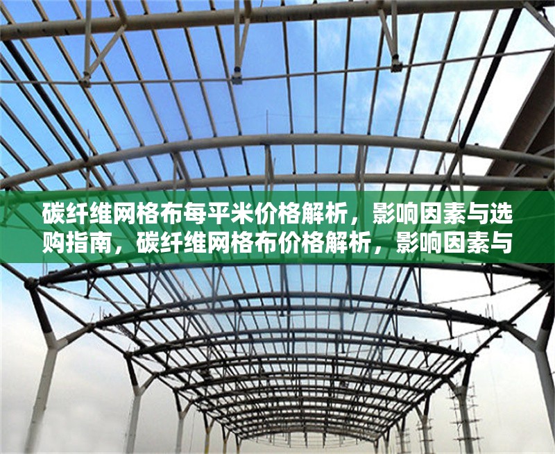 碳纖維網(wǎng)格布每平米價格解析，影響因素與選購指南，碳纖維網(wǎng)格布價格解析，影響因素與選購指南