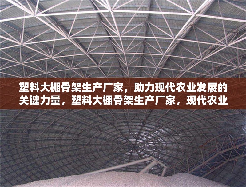 塑料大棚骨架生產(chǎn)廠家，助力現(xiàn)代農(nóng)業(yè)發(fā)展的關(guān)鍵力量，塑料大棚骨架生產(chǎn)廠家，現(xiàn)代農(nóng)業(yè)發(fā)展的核心支撐