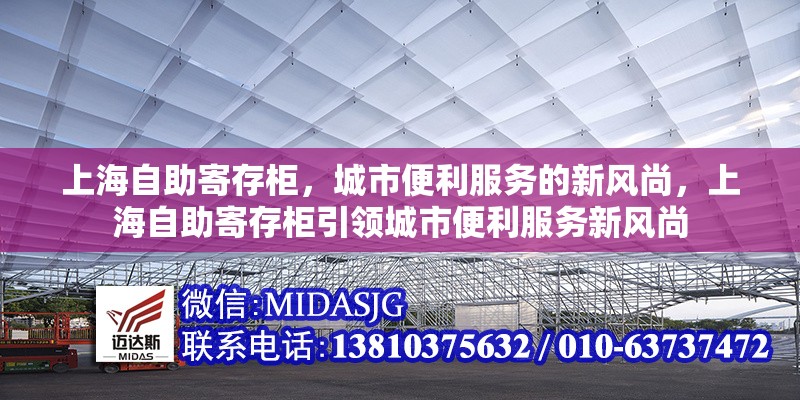 上海自助寄存柜，城市便利服務的新風尚，上海自助寄存柜引領城市便利服務新風尚 行業(yè)新聞