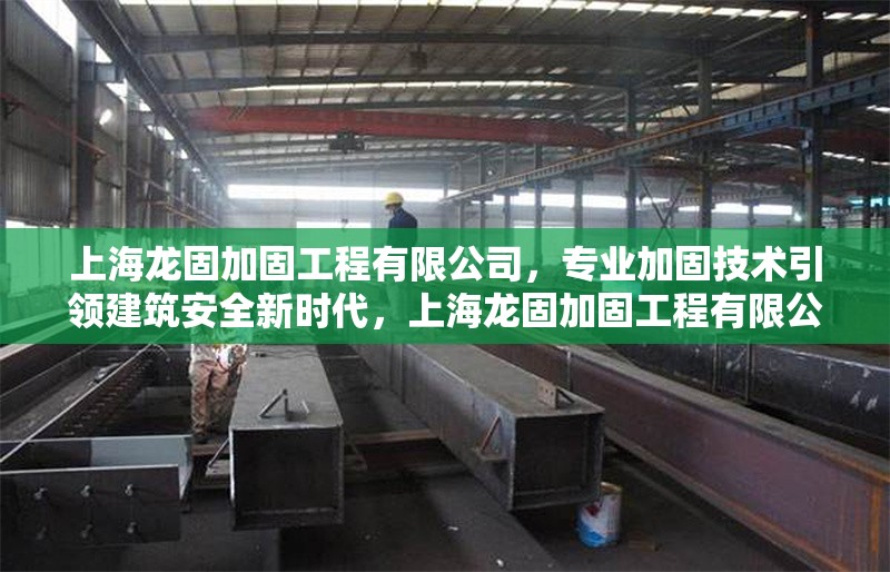 上海龍固加固工程有限公司，專業(yè)加固技術(shù)引領(lǐng)建筑安全新時(shí)代，上海龍固加固工程有限公司，專業(yè)加固技術(shù)引領(lǐng)建筑安全新時(shí)代