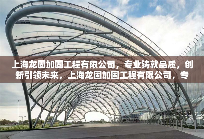 上海龍固加固工程有限公司，專業(yè)鑄就品質(zhì)，創(chuàng)新引領(lǐng)未來，上海龍固加固工程有限公司，專業(yè)鑄就品質(zhì)，創(chuàng)新引領(lǐng)未來