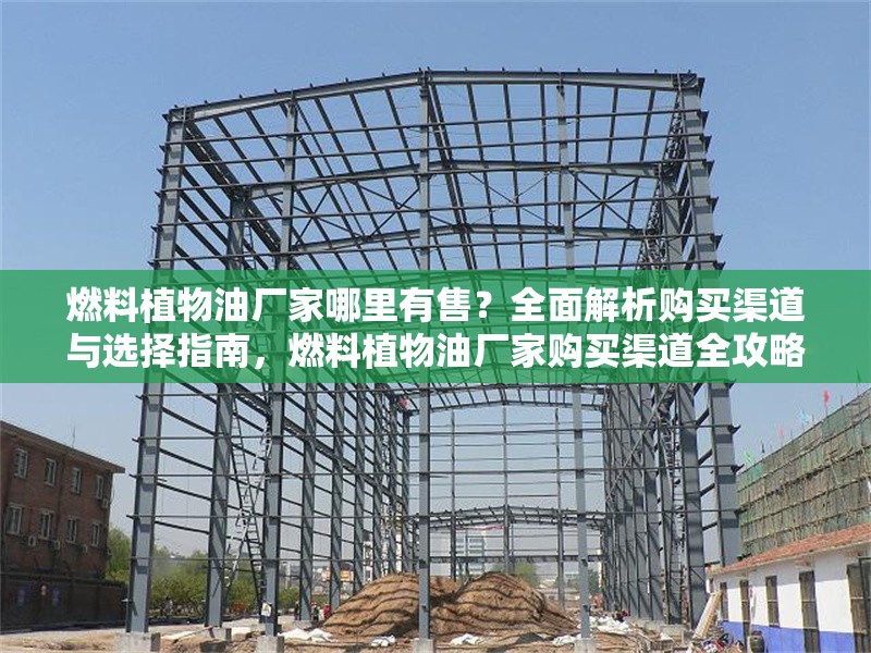 燃料植物油廠家哪里有售？全面解析購(gòu)買渠道與選擇指南，燃料植物油廠家購(gòu)買渠道全攻略，哪里買？怎么選？