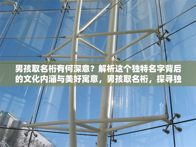 男孩取名桁有何深意？解析這個獨(dú)特名字背后的文化內(nèi)涵與美好寓意，男孩取名桁，探尋獨(dú)特名字背后的文化內(nèi)涵與美好寓意