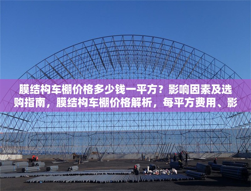 膜結構車棚價格多少錢一平方？影響因素及選購指南，膜結構車棚價格解析，每平方費用、影響因素與選購