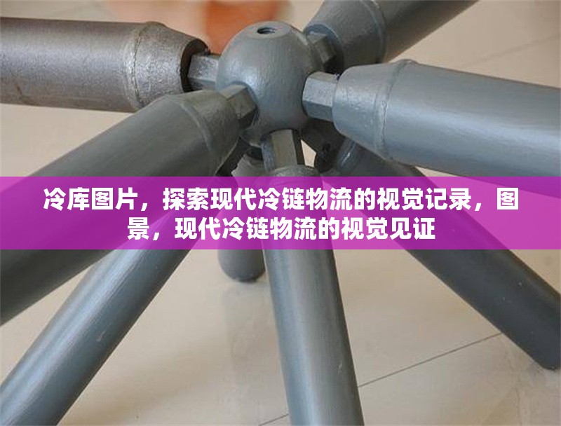 冷庫圖片，探索現(xiàn)代冷鏈物流的視覺記錄，圖景，現(xiàn)代冷鏈物流的視覺見證