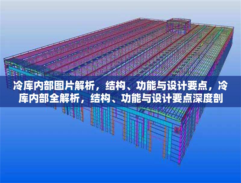 冷庫(kù)內(nèi)部圖片解析，結(jié)構(gòu)、功能與設(shè)計(jì)要點(diǎn)，冷庫(kù)內(nèi)部全解析，結(jié)構(gòu)、功能與設(shè)計(jì)要點(diǎn)深度剖析