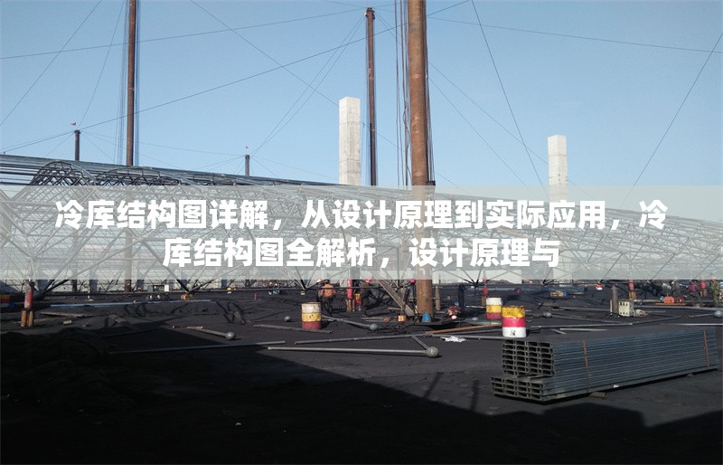冷庫結(jié)構(gòu)圖詳解，從設(shè)計(jì)原理到實(shí)際應(yīng)用，冷庫結(jié)構(gòu)圖全解析，設(shè)計(jì)原理與