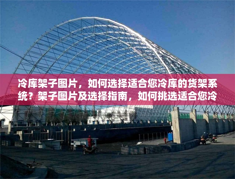 冷庫架子圖片，如何選擇適合您冷庫的貨架系統(tǒng)？架子圖片及選擇指南，如何挑選適合您冷庫的貨架系統(tǒng)