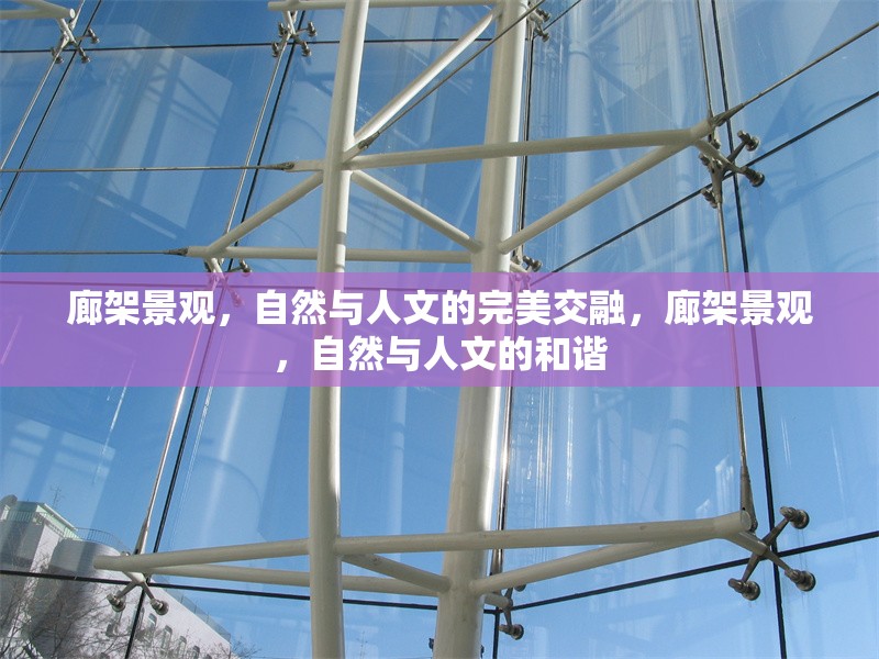 廊架景觀，自然與人文的完美交融，廊架景觀，自然與人文的和諧