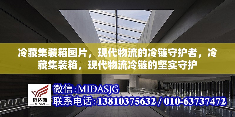 冷藏集裝箱圖片，現(xiàn)代物流的冷鏈?zhǔn)刈o(hù)者，冷藏集裝箱，現(xiàn)代物流冷鏈的堅(jiān)實(shí)守護(hù) 行業(yè)新聞