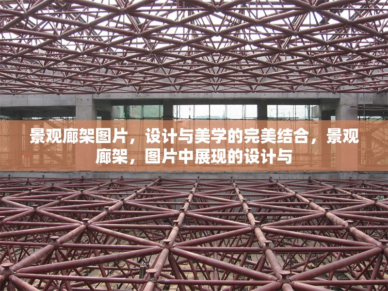 景觀廊架圖片，設(shè)計與美學(xué)的完美結(jié)合，景觀廊架，圖片中展現(xiàn)的設(shè)計與