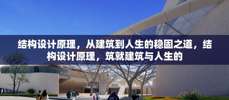 結構設計原理，從建筑到人生的穩(wěn)固之道，結構設計原理，筑就建筑與人生的