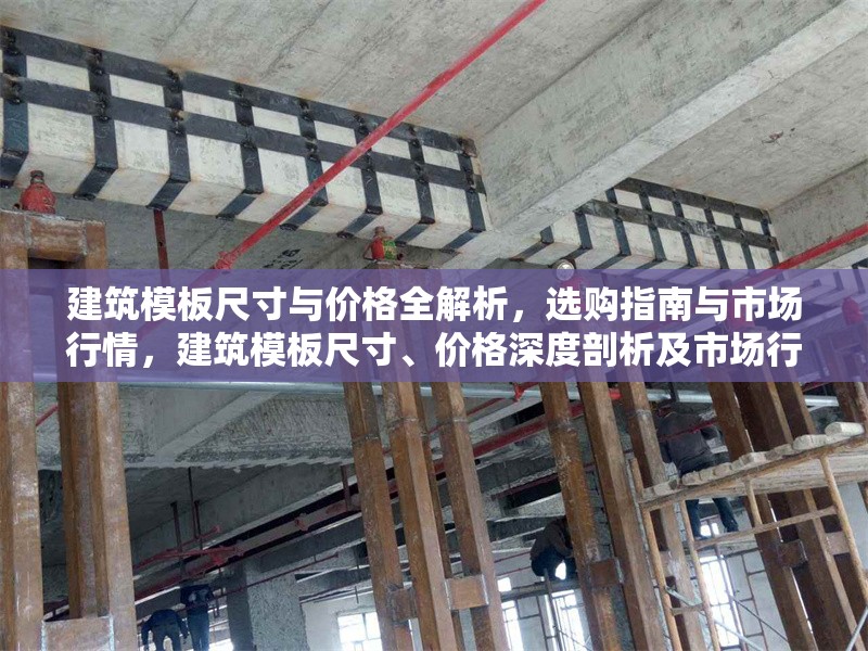 建筑模板尺寸與價格全解析，選購指南與市場行情，建筑模板尺寸、價格深度剖析及市場行情與選購要點 行業(yè)新聞